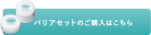 カートに入れる