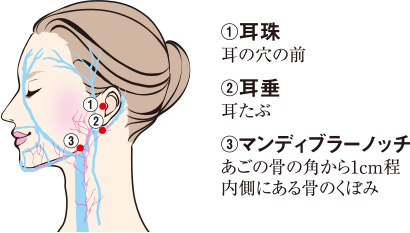 ３つの目標ポイントに向けて静脈の滞りをしっかり流す！