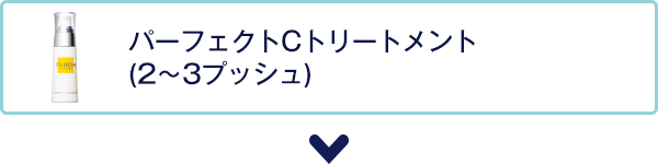 パーフェクトCトリートメント(2~3プッシュ)