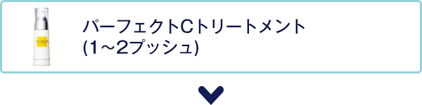 パーフェクトCトリートメント(1~2プッシュ)